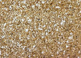 Bright white Pebblewash with camel-colored mini marble aggregates, providing a warm, textured finish.