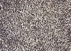 cream texture washed plaster with brown chocolate exposed aggregate