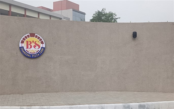 Best Calcopremia Work on wall at  BS Pizza Bardoli