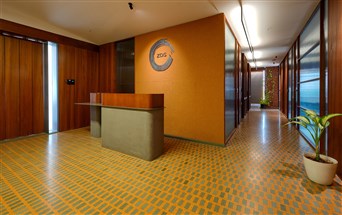best in quality epoxy terrazzo flooring work by freeform at Zen Design Studio, Surat